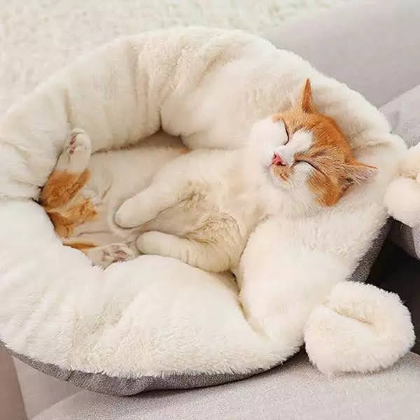 Cat relaxing belly-up in fluffy cat sleeping bag – Blessed Paws