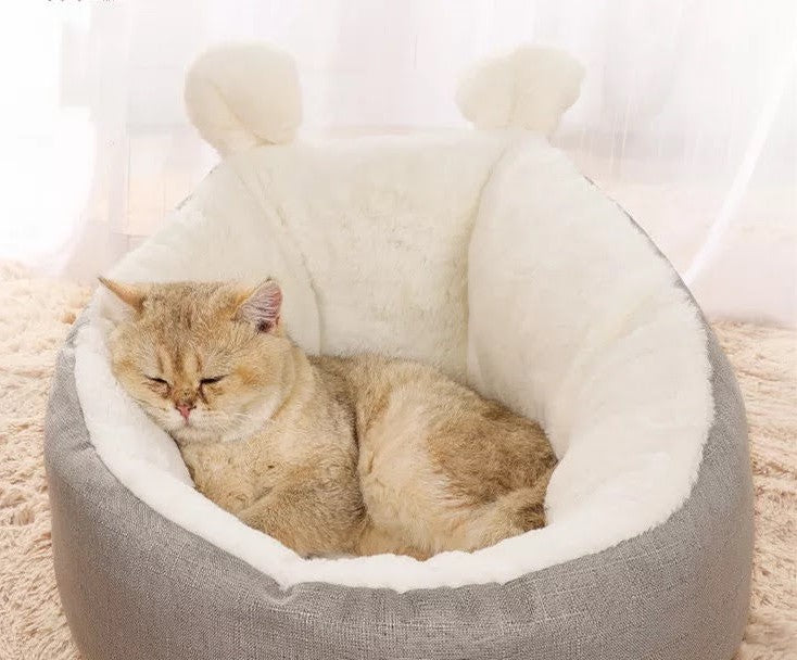 Beige cat sleeping in cozy semi-enclosed cat bed – Blessed Paws