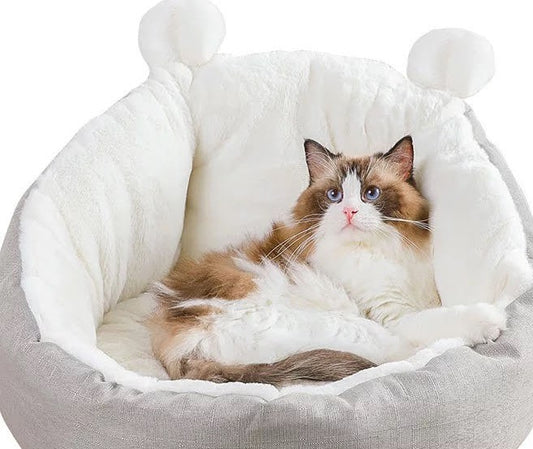 Ragdoll cat lounging in fluffy grey cat bed with bear ears – Blessed Paws