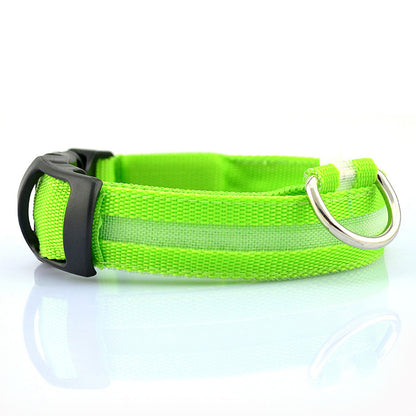 Bright green rechargeable pet collar for nighttime walks – Blessed Paws