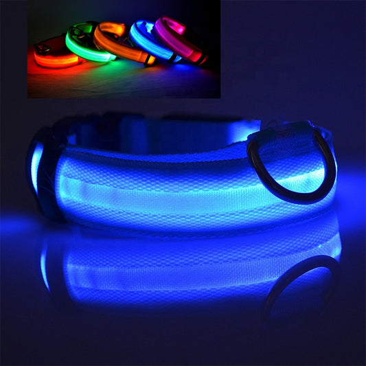 Glowing LED collars in assorted colors for dogs at night – Blessed Paws