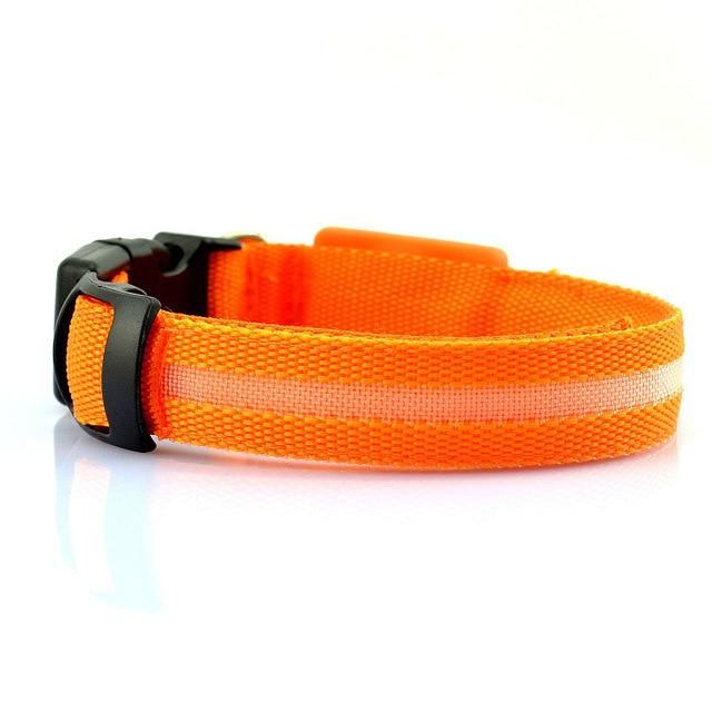 Orange nylon LED dog collar with metal D-ring – Blessed Paws