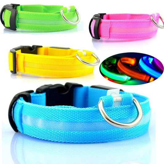 Blue LED dog collar with reflective strip – USB rechargeable – Blessed Paws