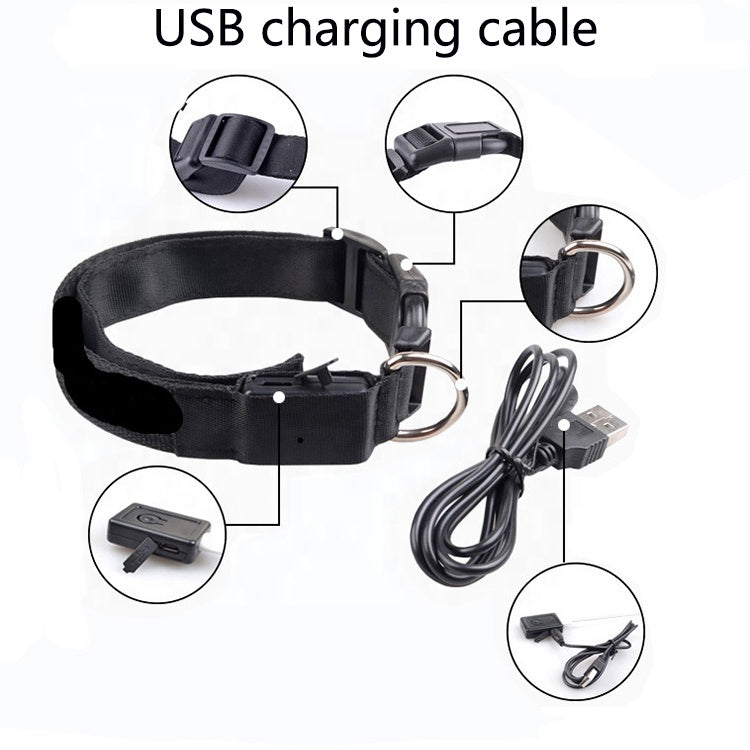 USB cable and LED collar with detailed charging port diagram – Blessed Paws