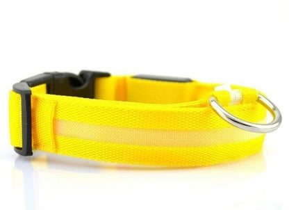 High-visibility yellow dog collar with light-up strip – Blessed Paws