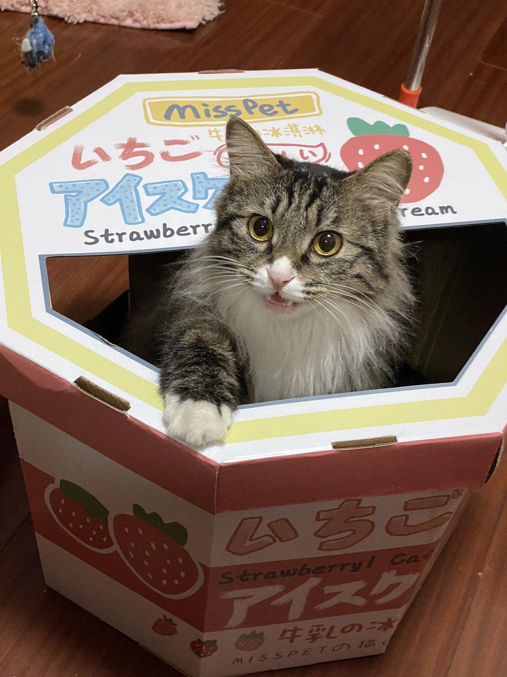 Cat inside pink Strawberry Milk scratcher box with open mouth – Blessed Paws