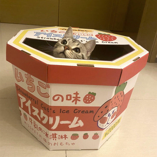 Cat peeking out of pink Strawberry Milk ice cream box – Blessed Paws