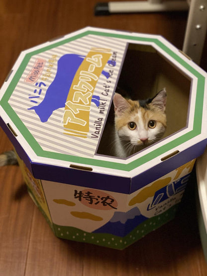 Cat sitting inside Vanilla Milk ice cream house box – Blessed Paws